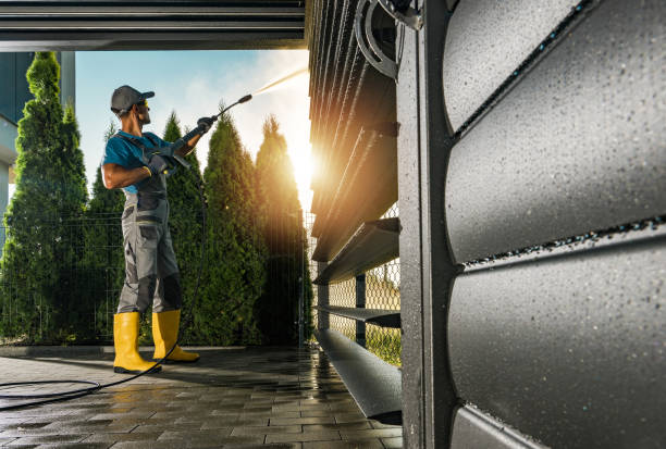 Best Roof Washing  in Oak Harbor, WA